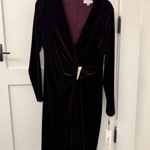 Calvin Klein Women's Long Sleeve Velvet Dress - Deep Purple